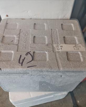 Cassa in polistirolo con coperchio