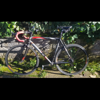 Bici da corsa