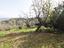 Immagine 13