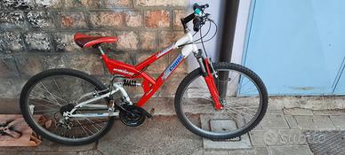 Bicicletta usata 