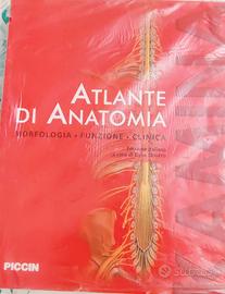 Atlanti di anatomia