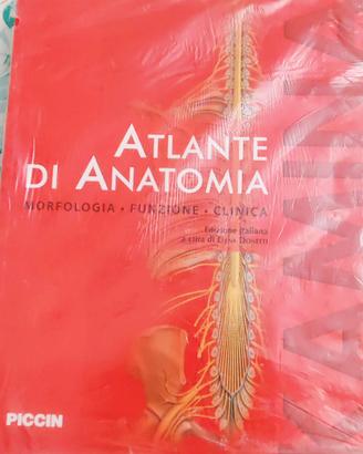 Atlanti di anatomia