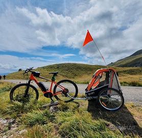 Rimorchio bici per bambini 2 posti/passeggino