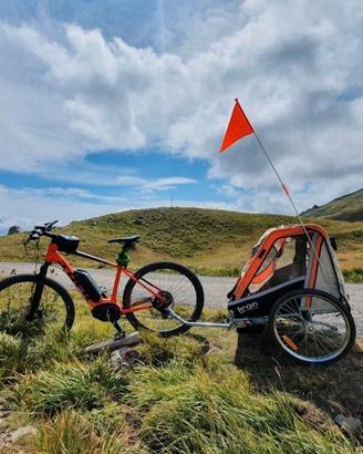 Rimorchio bici per bambini 2 posti/passeggino