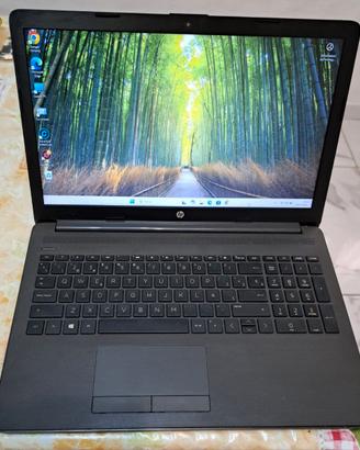 Notebook HP 255 G7- Schermo 15,6"-Windows 11