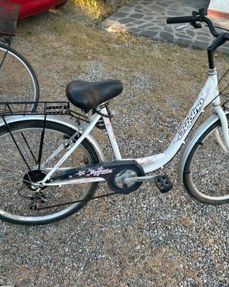 Biciclette da donna.