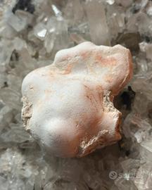 Pietra delle Fate n.060