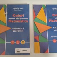 Colori della Matematica - Edizione BLU Geometria