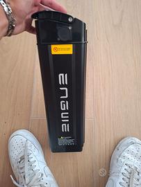 batteria bici elettrica
