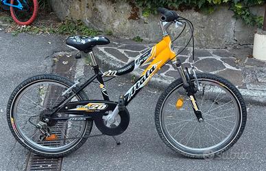 Bicicletta 20 pollici Atala Team Skate Front