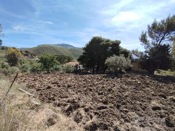 Terreno Agricolo 800mq Pianeggiante con LUCE