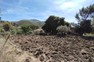 Terreno Agricolo 800mq Pianeggiante con LUCE