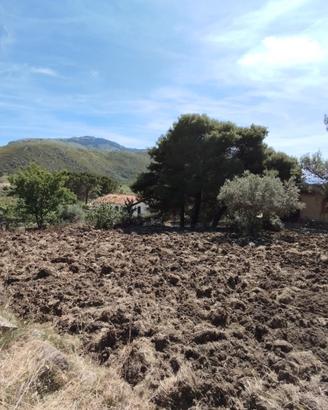 Terreno Agricolo 800mq Pianeggiante con LUCE