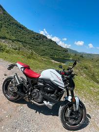 Ducati Monster 937 Plus Ice White