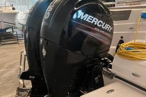 COPPIA MOTORI MERCURY 150hp