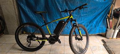 bicicletta elettrica e-bike Mountain bike 