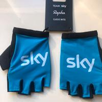 Guanti Team Sky Rapha Taglia M