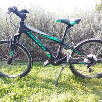MTB 20  montana