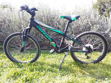 MTB 20  montana