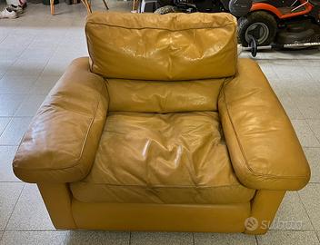 Poltrona Petronio Tito Agnoli Poltrona Frau