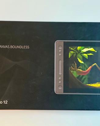 Huion Kamvas Pro 12 - tavoletta grafica, perfetta