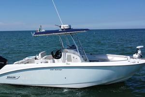 Boston Whaler 240 Outrage (2006) 1x300 Mercury
