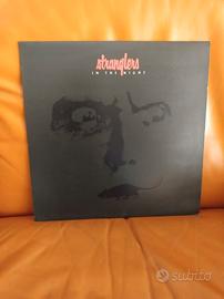 vinile The Stranglers - In The Night 