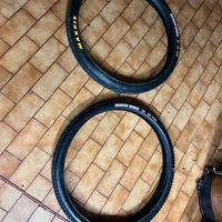 Pneumatici Maxxis