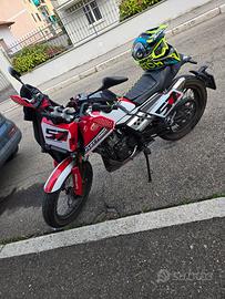 mondial flat track 125