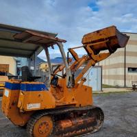 Vendita pala cingolata