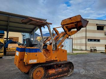 Vendita pala cingolata