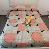 Letto contenitore + materasso una piazza e mezza