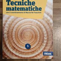 978882682091 Tecniche matematiche 5