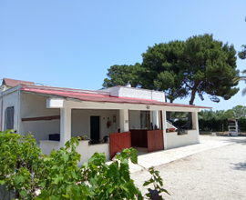 Casa vacanza Salento puglia dal 2 settembre in poi