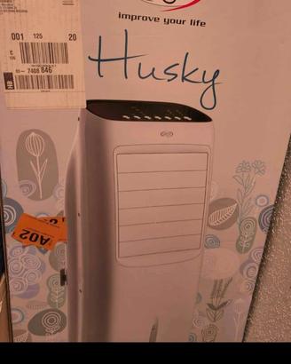 Ventilatore e raffrescatore Argo Husky
