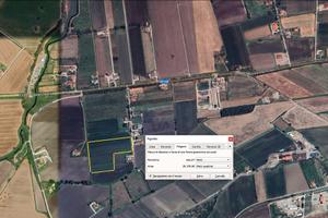 Terreno agricolo 2 ettari a Capaccio Paestum - Acc