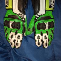 guanti berik, scarpe alpinestars 