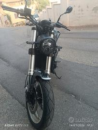leoncino Benelli