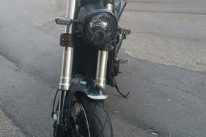 leoncino Benelli