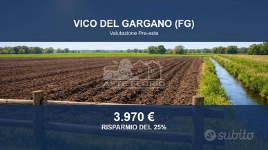 Immobile in asta di 3123 m² a Vico del Gargano