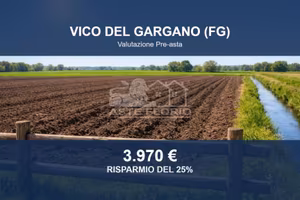 Immobile in asta di 3123 m² a Vico del Gargano