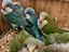 Immagine 4