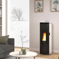 Stufa a Pellet La Nordica Extraflame AMIKA 8,8kW