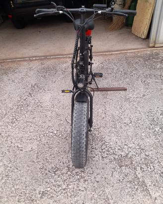 Bicicletta elettrica