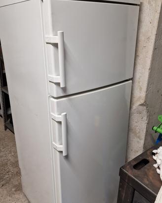 frigorifero verticale Liebherr