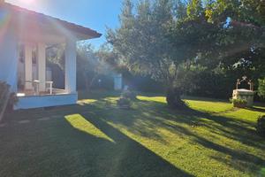 Last minute Settembre Sabaudia