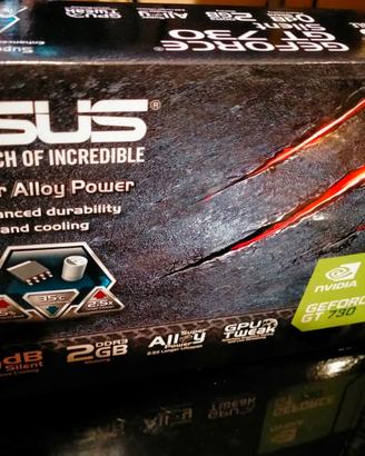 scheda video Asus