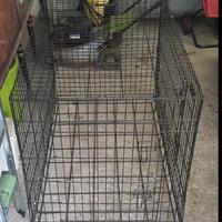 GABBIA PER CANI  "Channel"