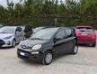 FIAT Panda GPL 1.2cc 69cv