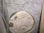 Immagine 4